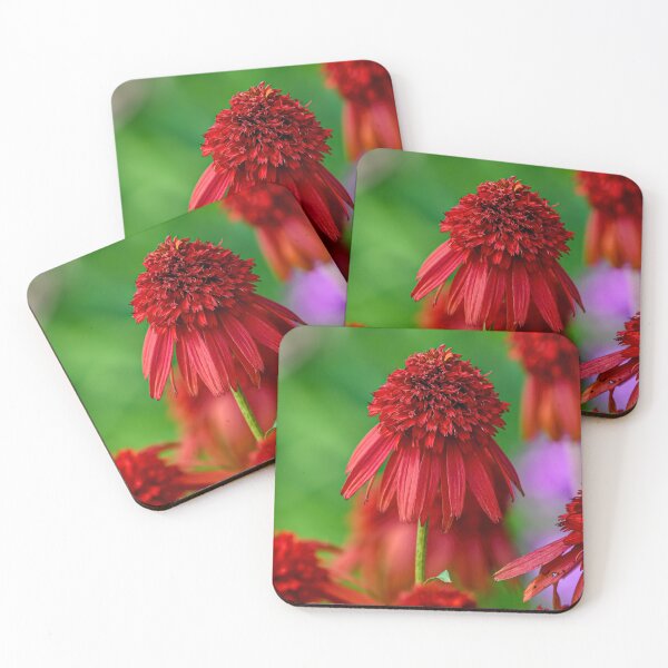 Item preview, Echinacea "Hot Papaya" designed and sold by Michael Cummings.