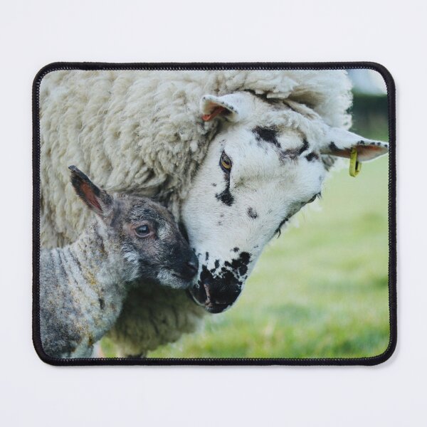 Item preview, Rosie and Barnaby designed and sold by thegreendogs.