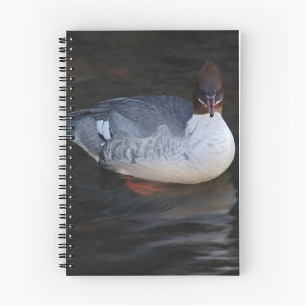Item preview, Female Goosander In River designed and sold by Adrian Wale.