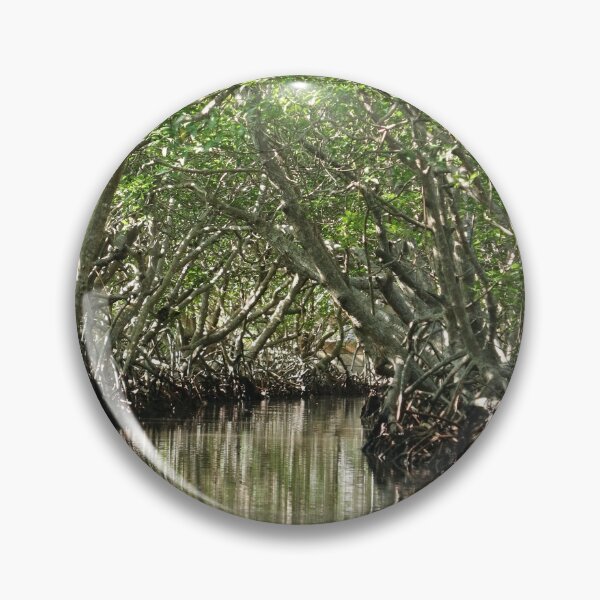 Item preview, Central America, Caribbean, Honduras, Island, Roatan, Tree, Mangrove, Photography, BebiCervin designed and sold by BebiCervin.
