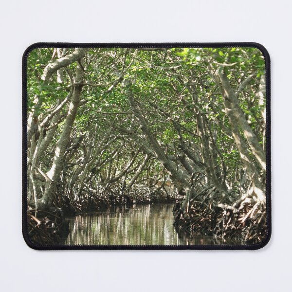 Item preview, Central America, Caribbean, Honduras, Island, Roatan, Tree, Mangrove, Photography, BebiCervin designed and sold by BebiCervin.