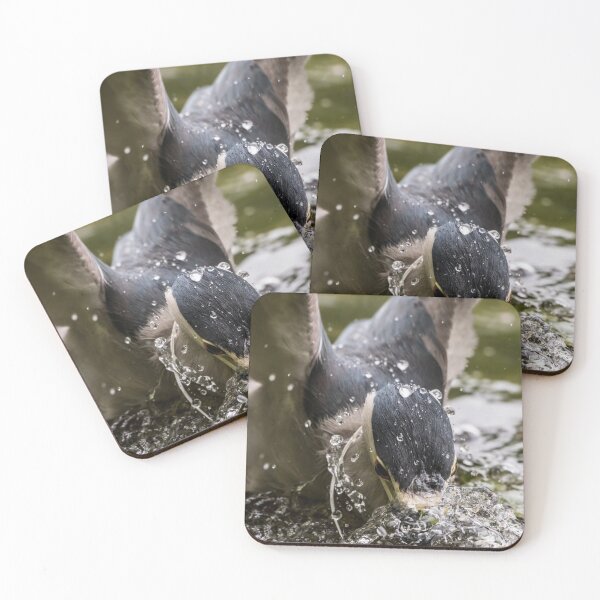 Item preview, Fishing Black-Crowned Night Heron designed and sold by Michael Cummings.