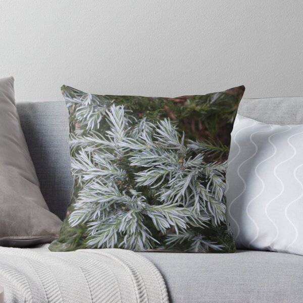 Item preview, Winter Plant designed and sold by eagleray.