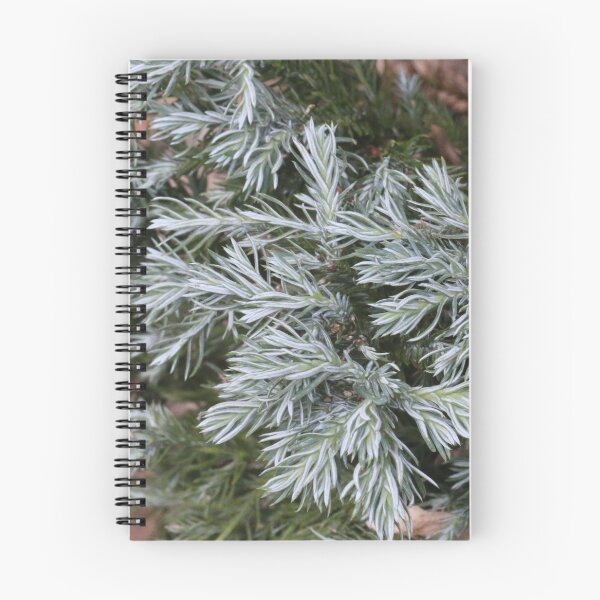 Item preview, Winter Plant designed and sold by eagleray.