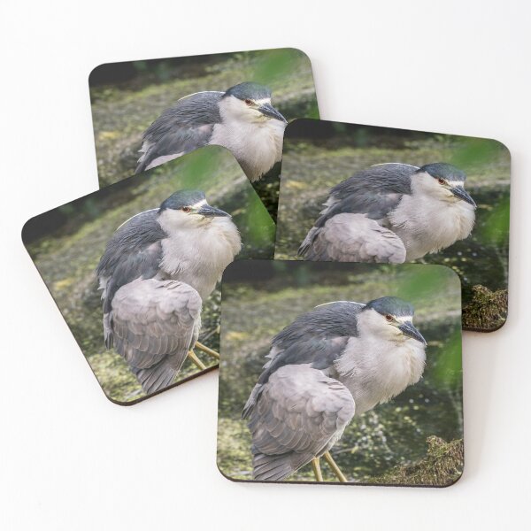 Item preview, Black-Crowned Night Heron designed and sold by Michael Cummings.