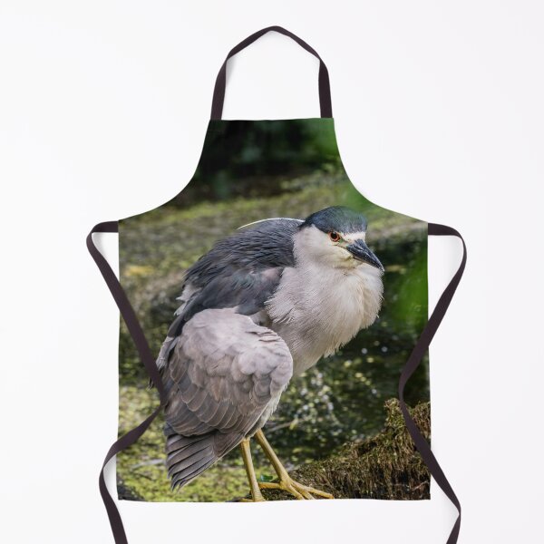 Item preview, Black-Crowned Night Heron designed and sold by Michael Cummings.