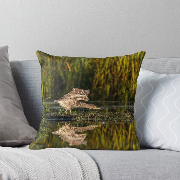 Item preview, Black-Crowned Night Heron Wingstretch designed and sold by Michael Cummings.