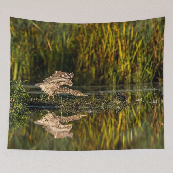 Item preview, Black-Crowned Night Heron Wingstretch designed and sold by Michael Cummings.