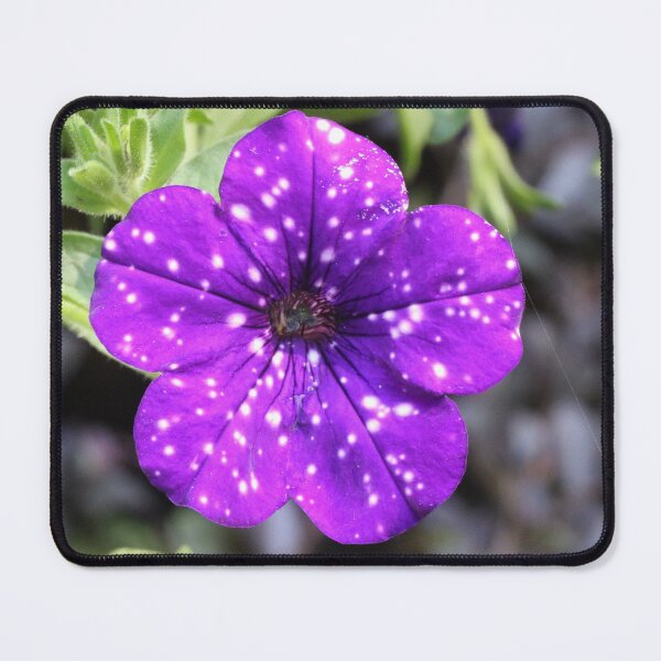 Item preview, Purple Petunia with White Spots designed and sold by eagleray.