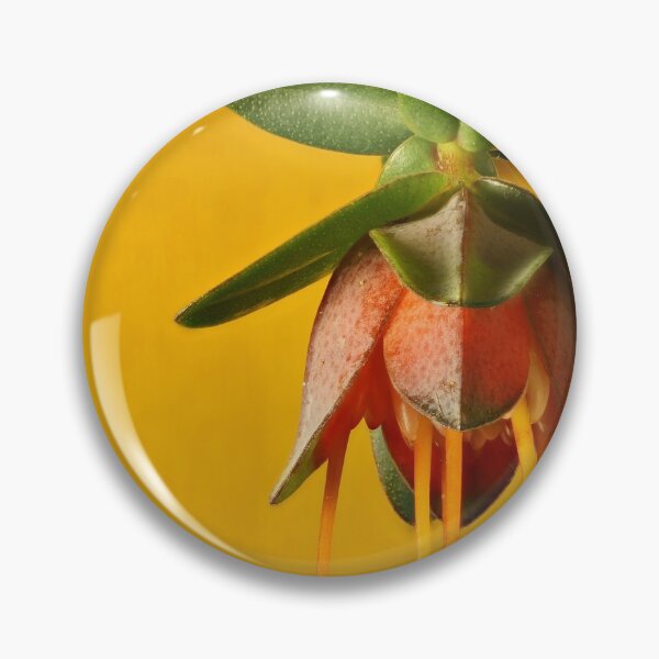 Item preview, Lemon-scented Darwinia flower designed and sold by NanaRusty.