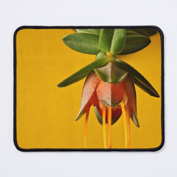Item preview, Lemon-scented Darwinia flower designed and sold by NanaRusty.
