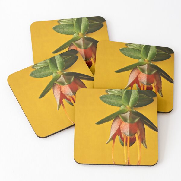Item preview, Lemon-scented Darwinia flower designed and sold by NanaRusty.