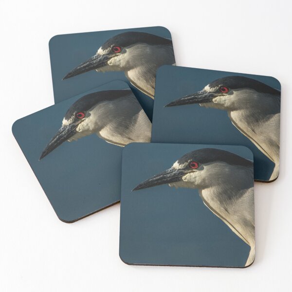 Item preview, Black-Crowned Night Heron designed and sold by Michael Cummings.