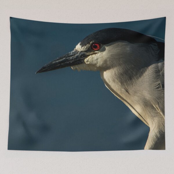 Item preview, Black-Crowned Night Heron designed and sold by Michael Cummings.