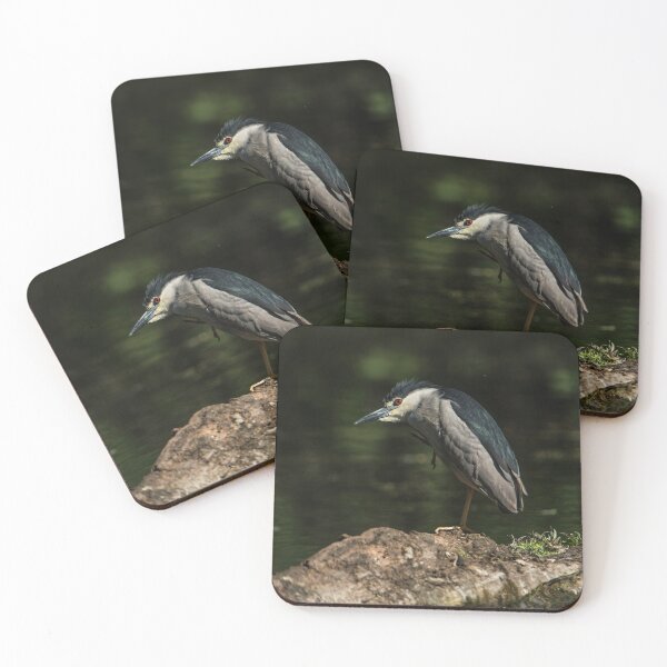 Item preview, Black-Crowned Night Heron designed and sold by Michael Cummings.