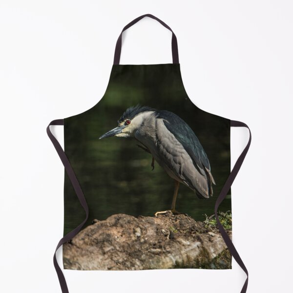 Item preview, Black-Crowned Night Heron designed and sold by Michael Cummings.