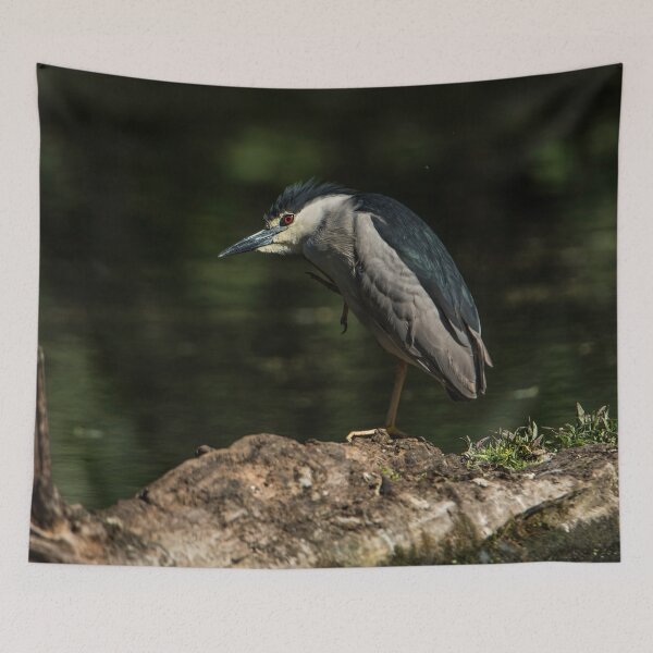 Item preview, Black-Crowned Night Heron designed and sold by Michael Cummings.