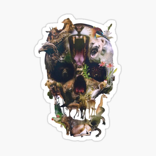 Kingdom Sticker