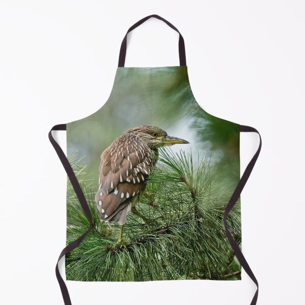Item preview, Juvenile Black-Crowned Night Heron designed and sold by Michael Cummings.