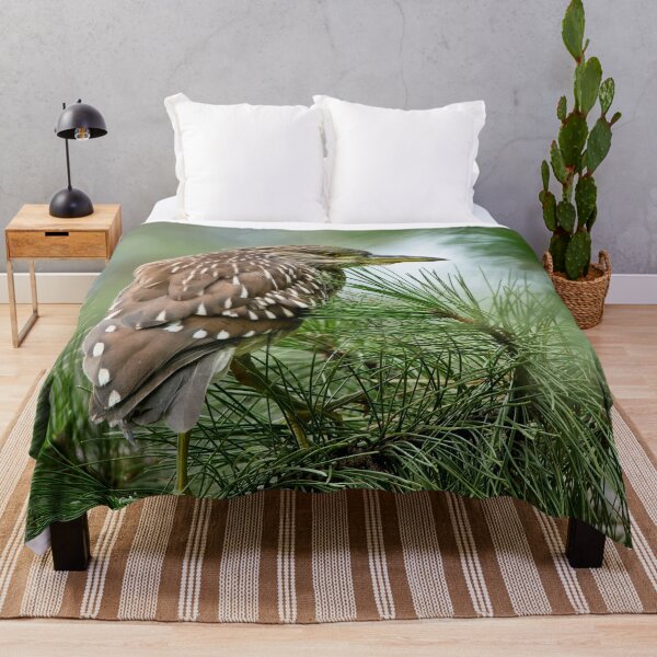 Item preview, Juvenile Black-Crowned Night Heron designed and sold by Michael Cummings.