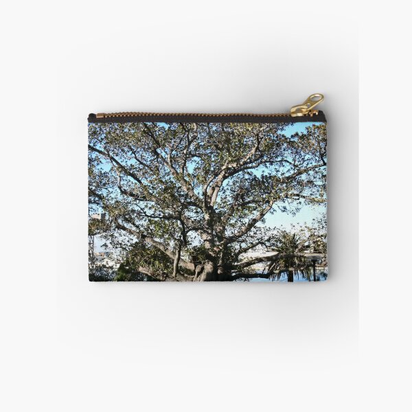 Item preview, Big tree in Sydney/NSW/Australia designed and sold by Wolf Sverak Photography.