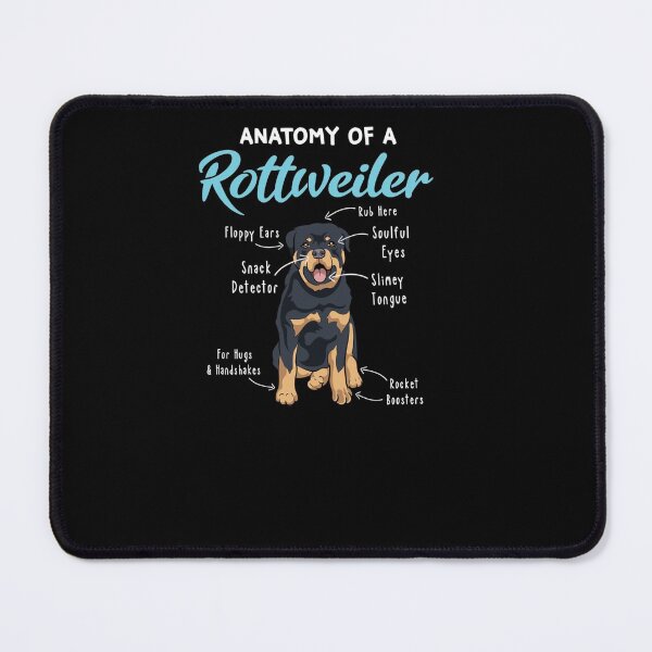 Item preview, Anatomy Of A Rottweiler Funny Rottweiler Mom Dog Mom Rottie Pullover Hoodie designed and sold by joh1zwfkristy.