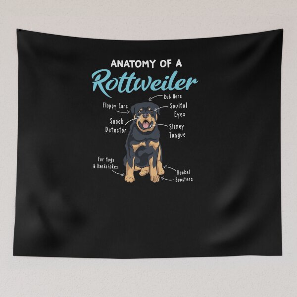 Item preview, Anatomy Of A Rottweiler Funny Rottweiler Mom Dog Mom Rottie Pullover Hoodie  designed and sold by joh1zwfkristy.