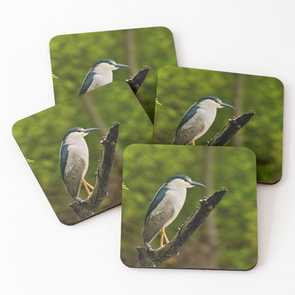 Item preview, Black-Crowned Night Heron  designed and sold by Michael Cummings.