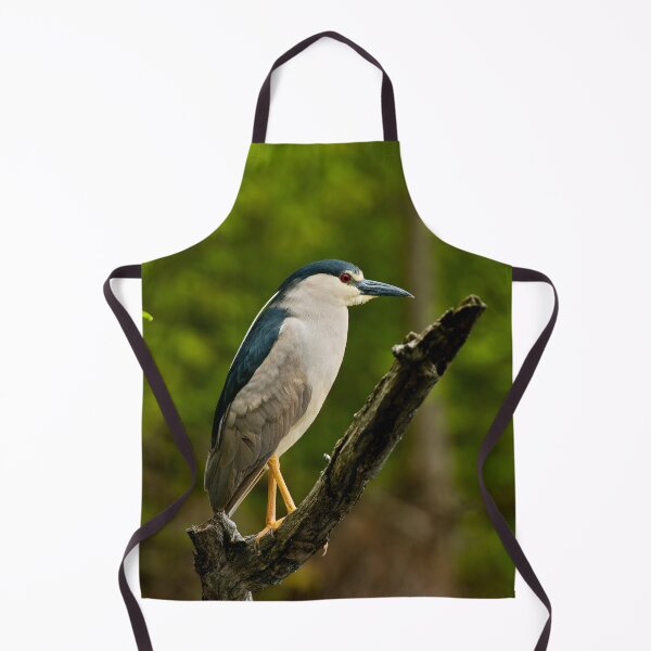Item preview, Black-Crowned Night Heron designed and sold by Michael Cummings.