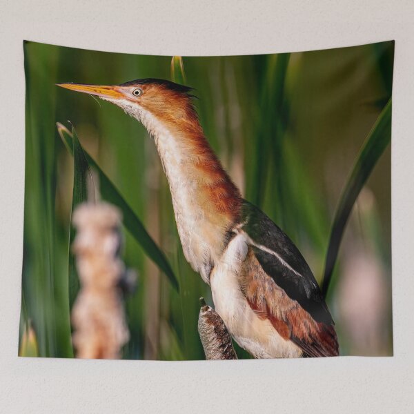 Item preview, Least Bittern designed and sold by Michael Cummings.