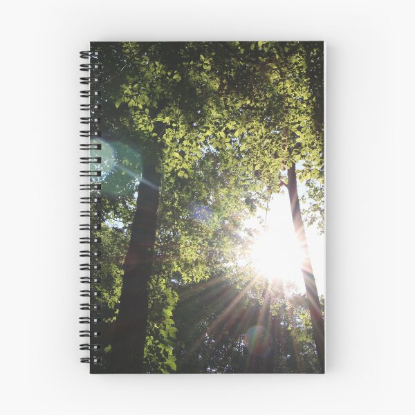 Item preview, Sunlight designed and sold by eagleray.
