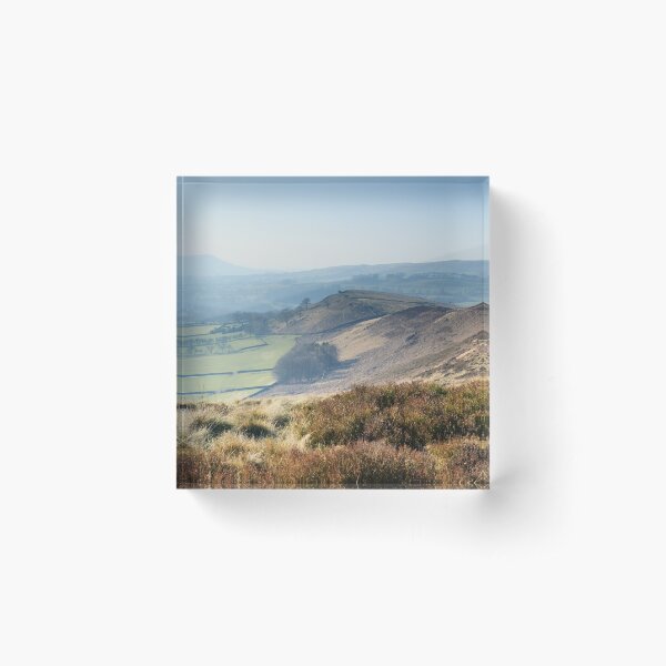 Roach End Acrylic Block