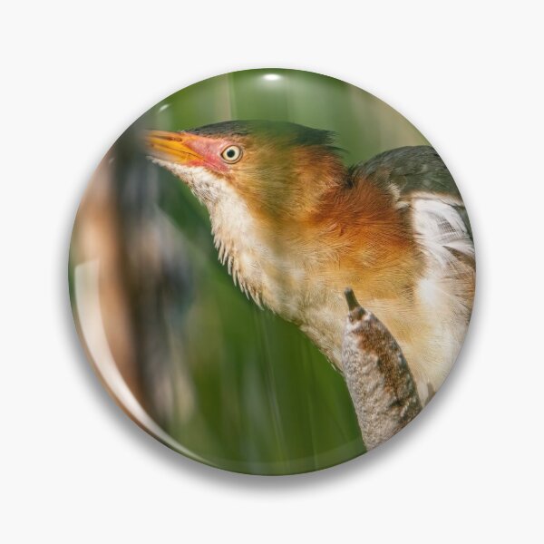 Item preview, Least bittern On Cattail designed and sold by Michael Cummings.