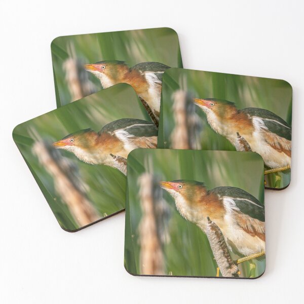 Item preview, Least bittern On Cattail designed and sold by Michael Cummings.