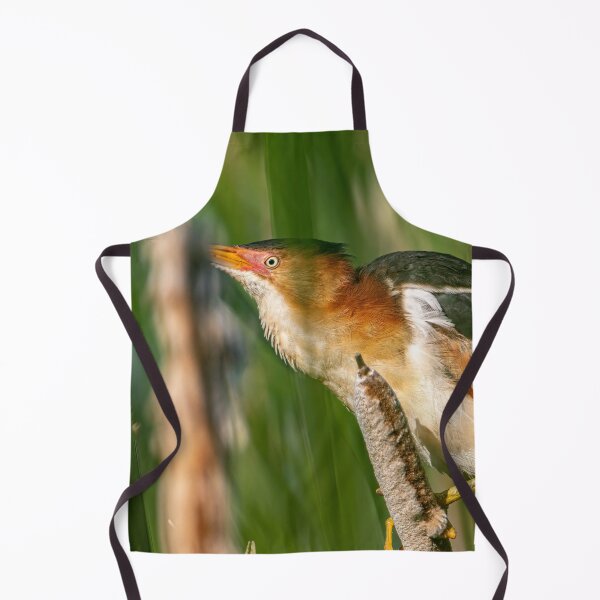 Item preview, Least bittern On Cattail designed and sold by Michael Cummings.