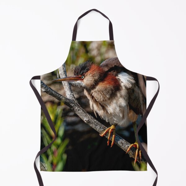 Item preview, Least Bittern designed and sold by Michael Cummings.