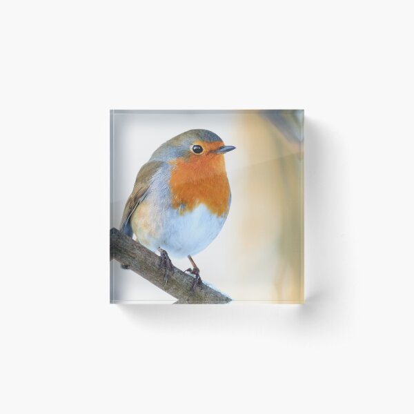 Robin Acrylic Block
