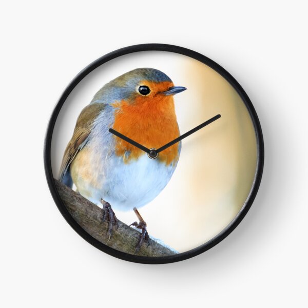 Robin Clock