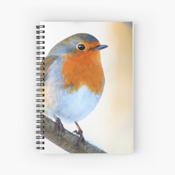 Robin Spiral Notebook