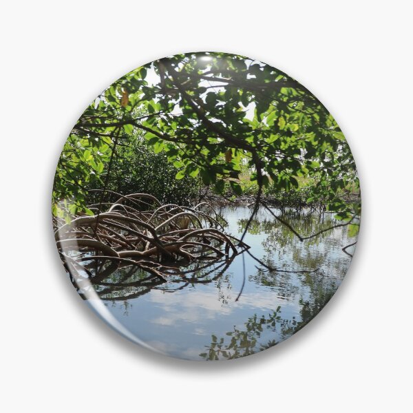 Item preview, Central America, Caribbean, Honduras, Roatan, Island, Mangroves, Landscape, Nature, Photography, BebiCervin designed and sold by BebiCervin.