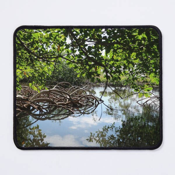 Item preview, Central America, Caribbean, Honduras, Roatan, Island, Mangroves, Landscape, Nature, Photography, BebiCervin designed and sold by BebiCervin.