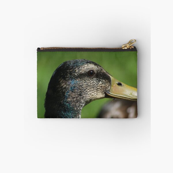 Item preview, Close-up of female mallard on Llangollen Canal designed and sold by turniptowers.