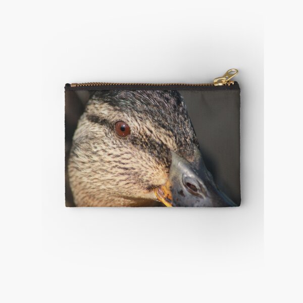 Item preview, Close-up of female mallard on Llangollen Canal designed and sold by turniptowers.