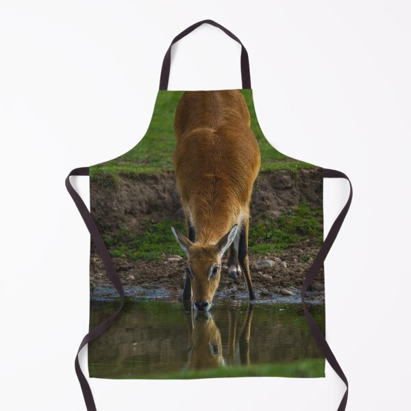 Item preview, Lechwe Drinking Water designed and sold by rawshutterbug.