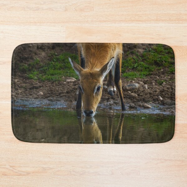 Item preview, Lechwe Drinking Water designed and sold by rawshutterbug.