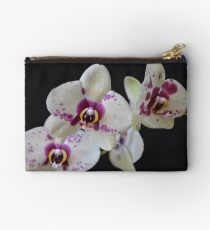 Perfectly Perfect Studio Pouch