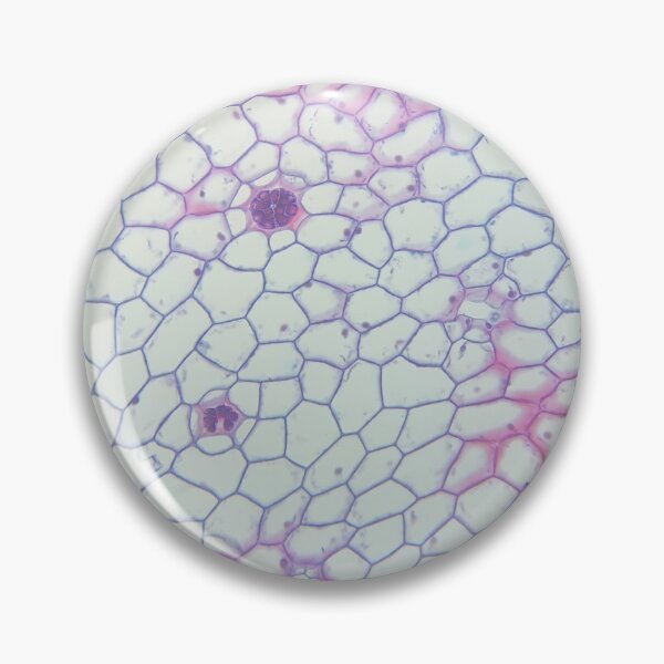 Item preview, Plant Cells Under a Microscope designed and sold by eagleray.