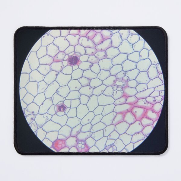 Item preview, Plant Cells Under a Microscope designed and sold by eagleray.