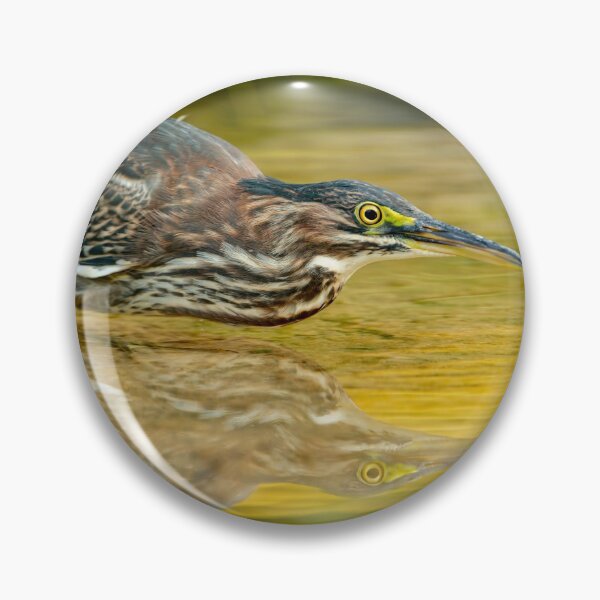 Item preview, Green Heron designed and sold by Michael Cummings.