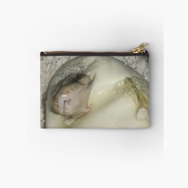 Item preview, Little Bit of Boa Hatching designed and sold by AnnDixon.